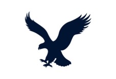 American Eagle